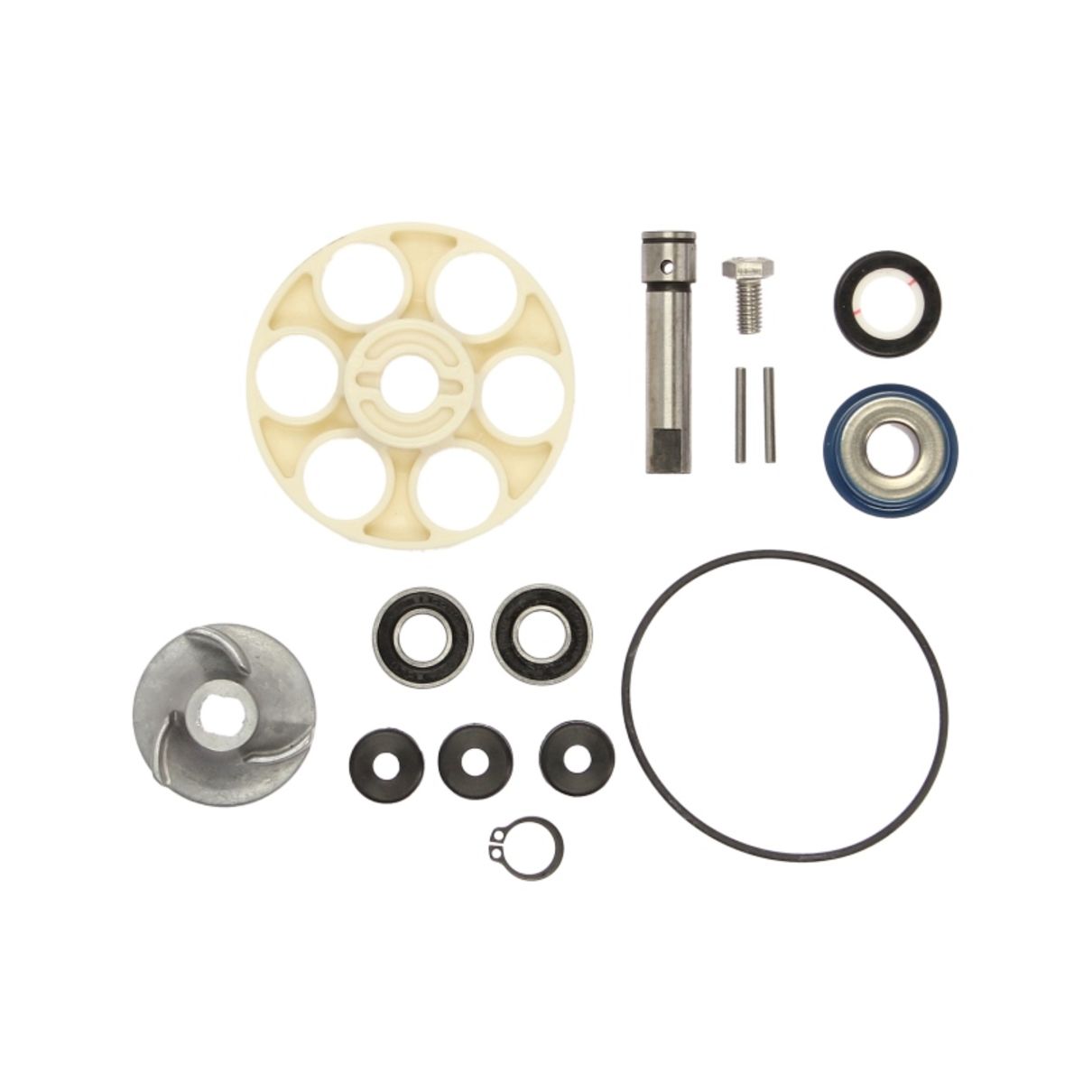 Reparatursatz, Wasserpumpe RMS 10 011 0160