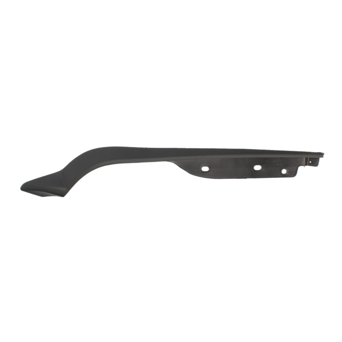 Blic Sierlijst/Beschermstrip, Bumper 6502-07-3181972P Rechts