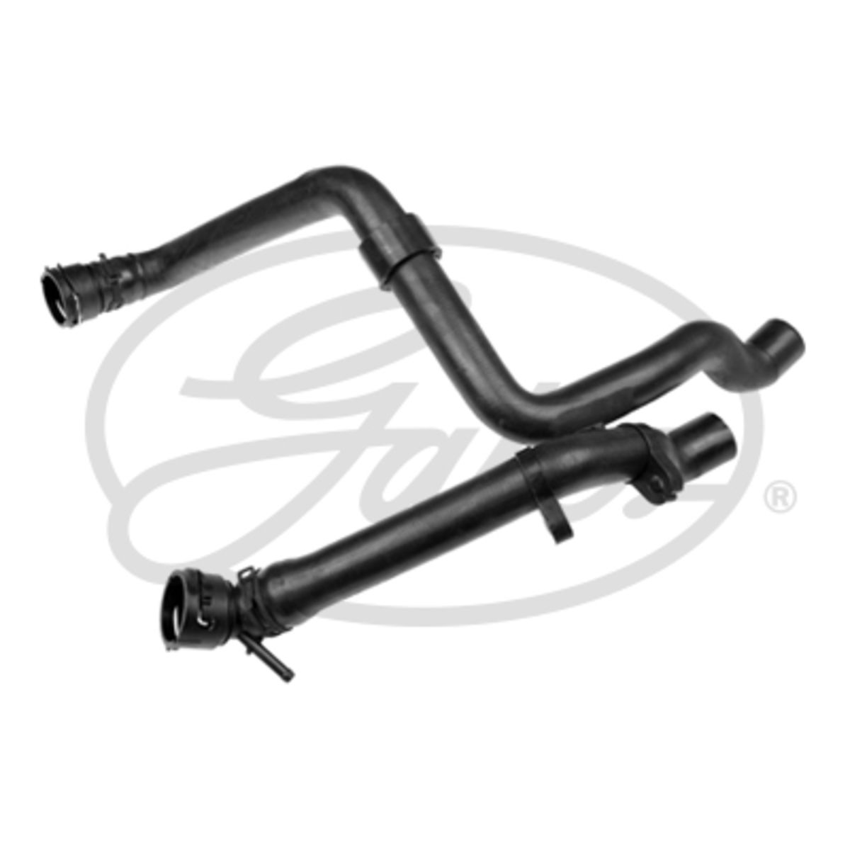 Image of Radiatorslang