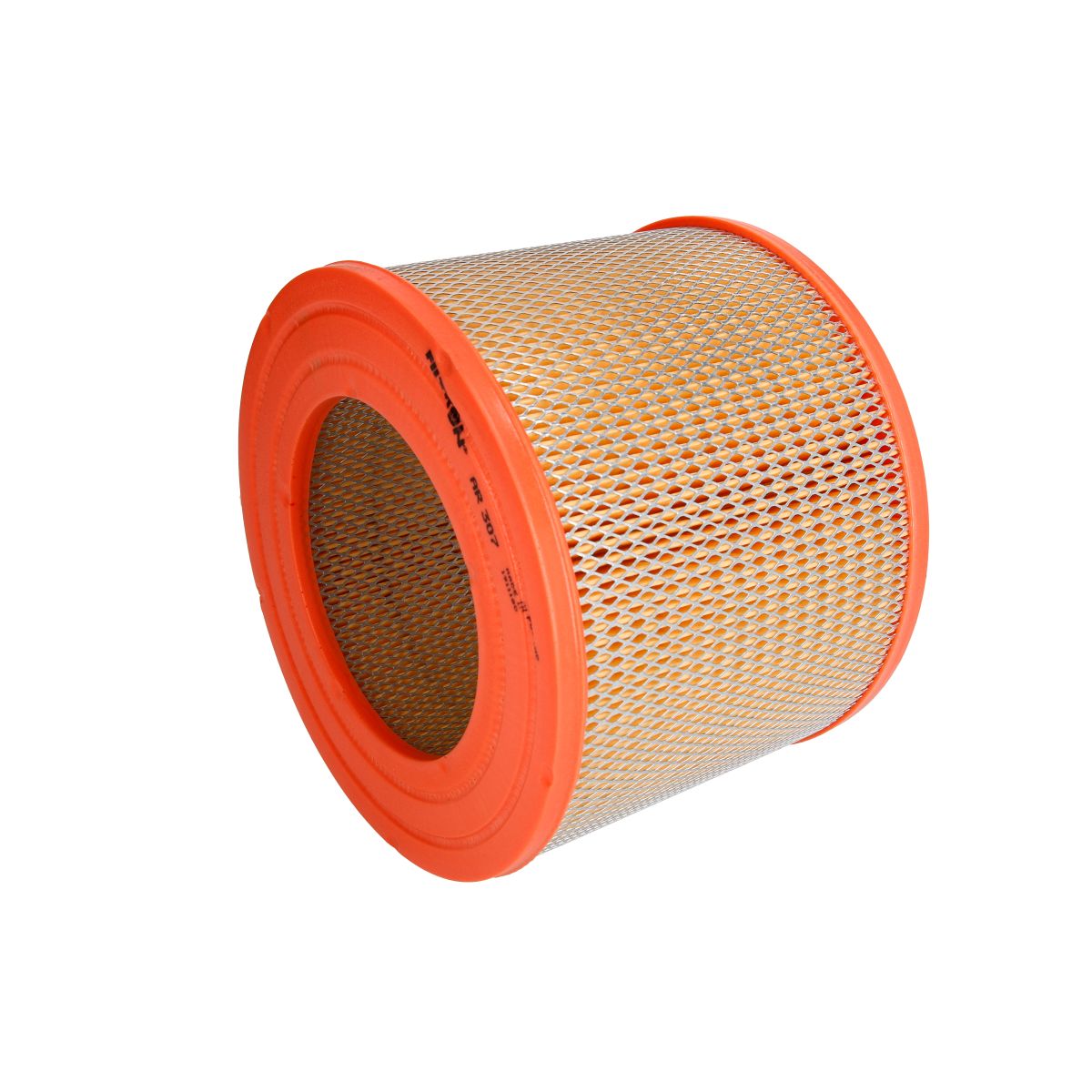 Filtron Filtro Aria Ar307