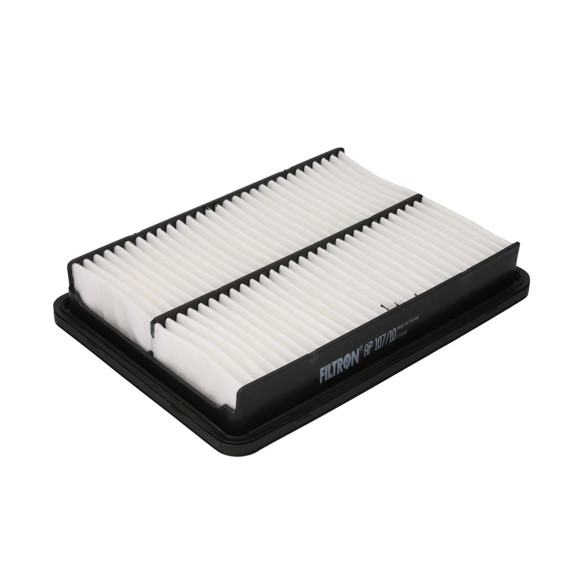 Filtron Filtro Aria Ap107/10