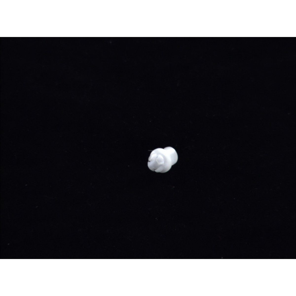 Image of Clip