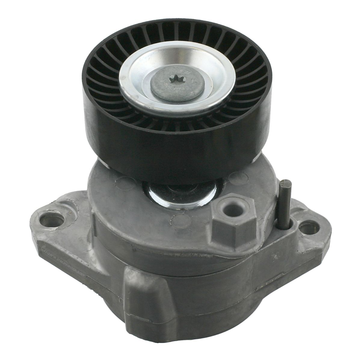 Image of Riemspanner, Poly V-riem  BILSTEIN