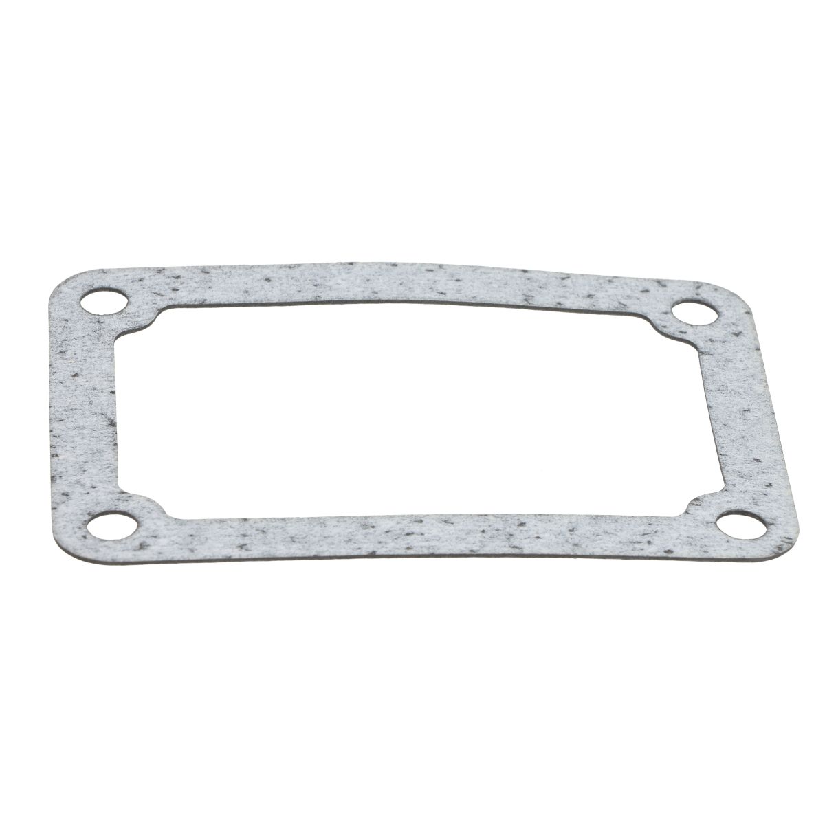 Dichtung, Motorblock SRP 862620