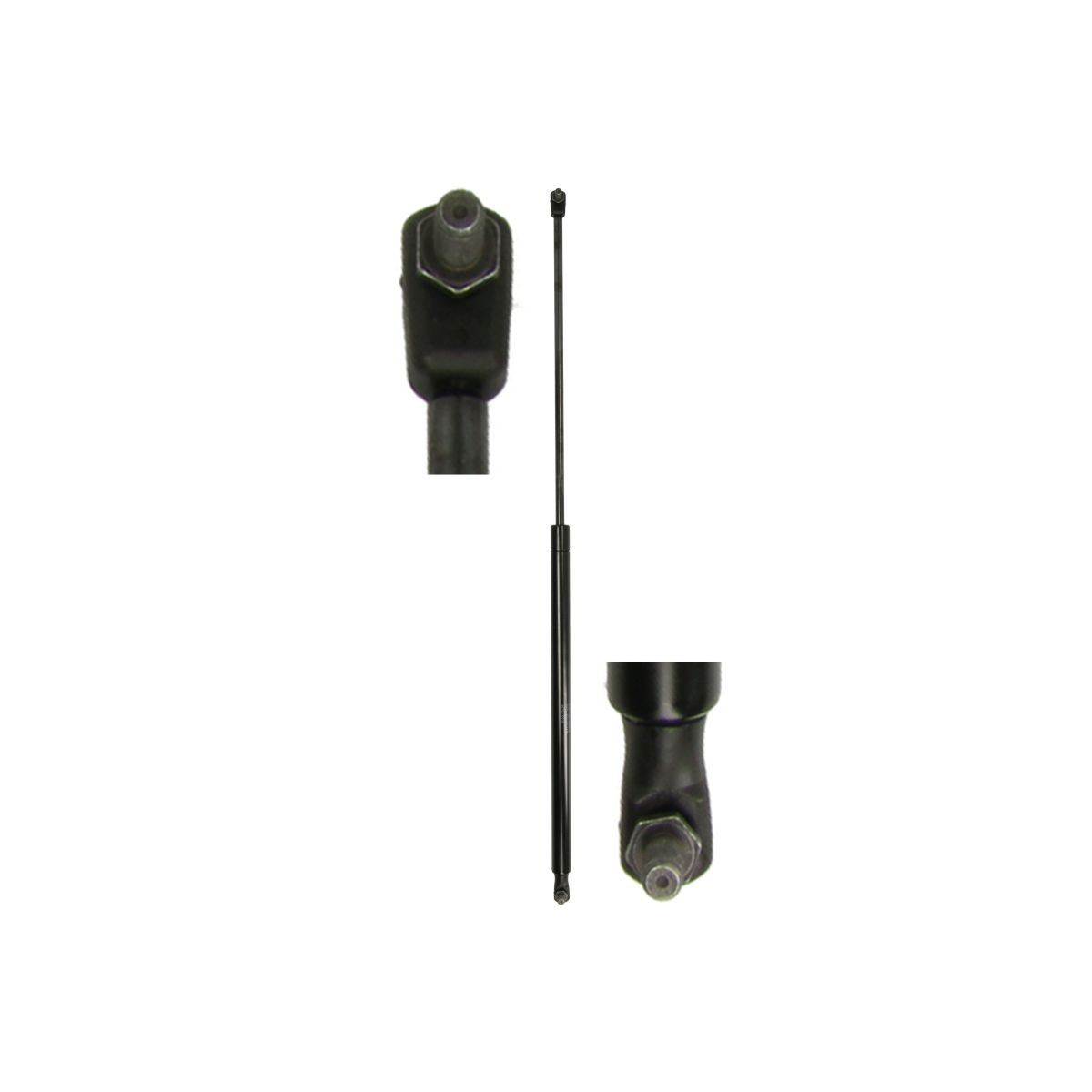 Gasfeder, Koffer-/Laderaum STABILUS STA095443