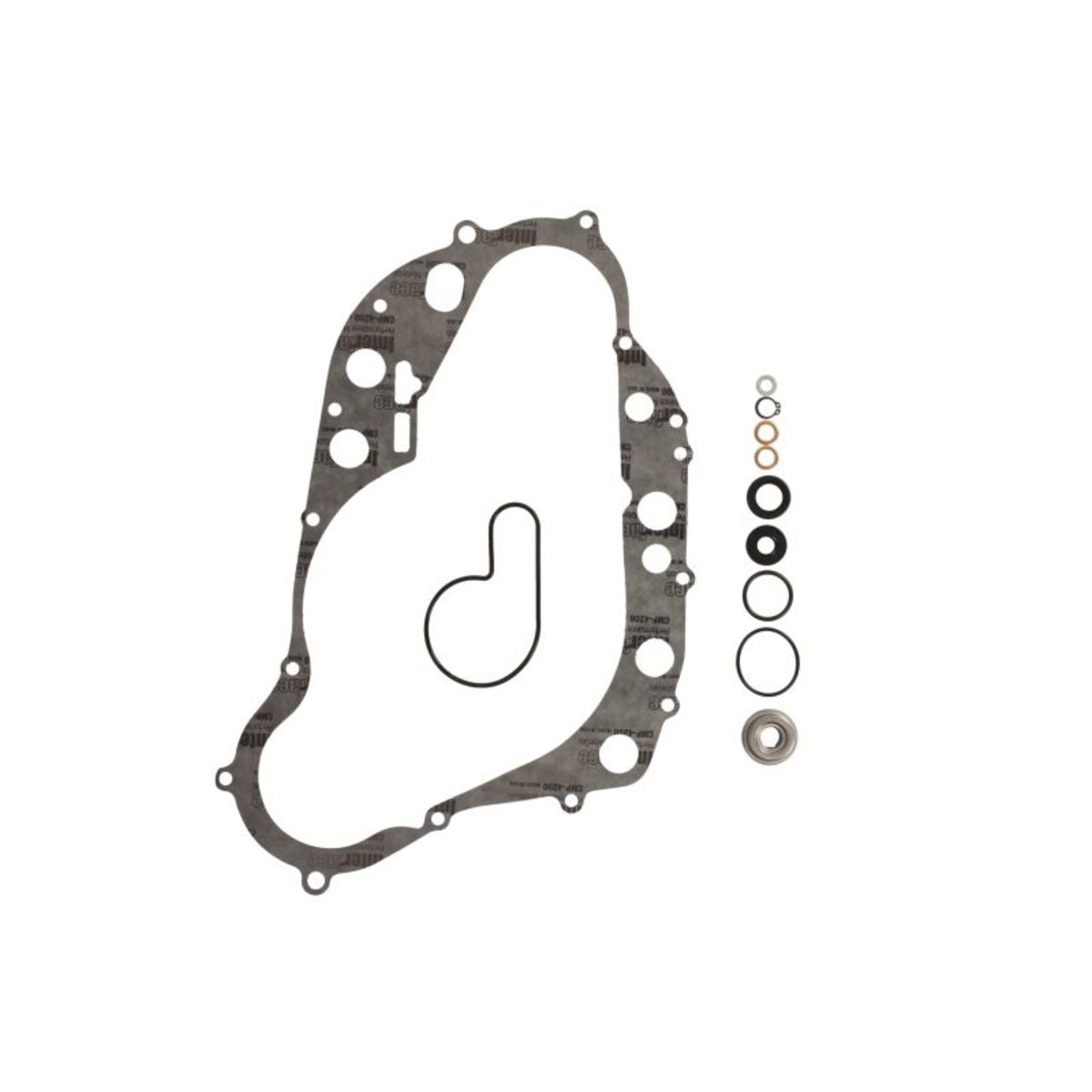 Kühlmittelpumpe WINDEROSA W821916