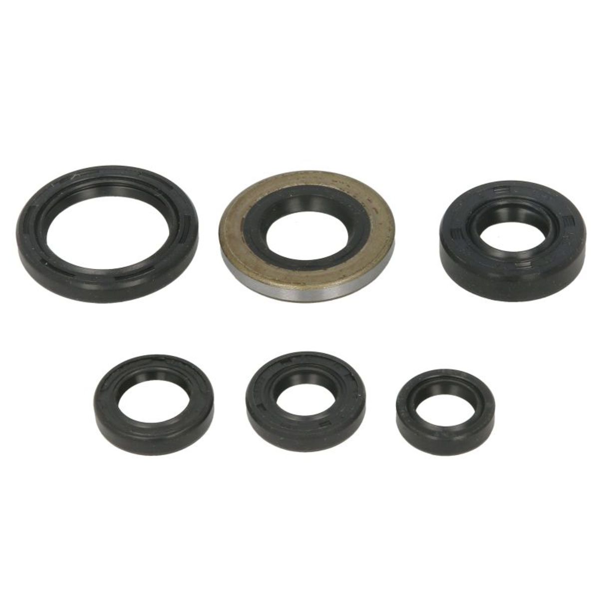 Motorsimmerringsatz WINDEROSA W822278