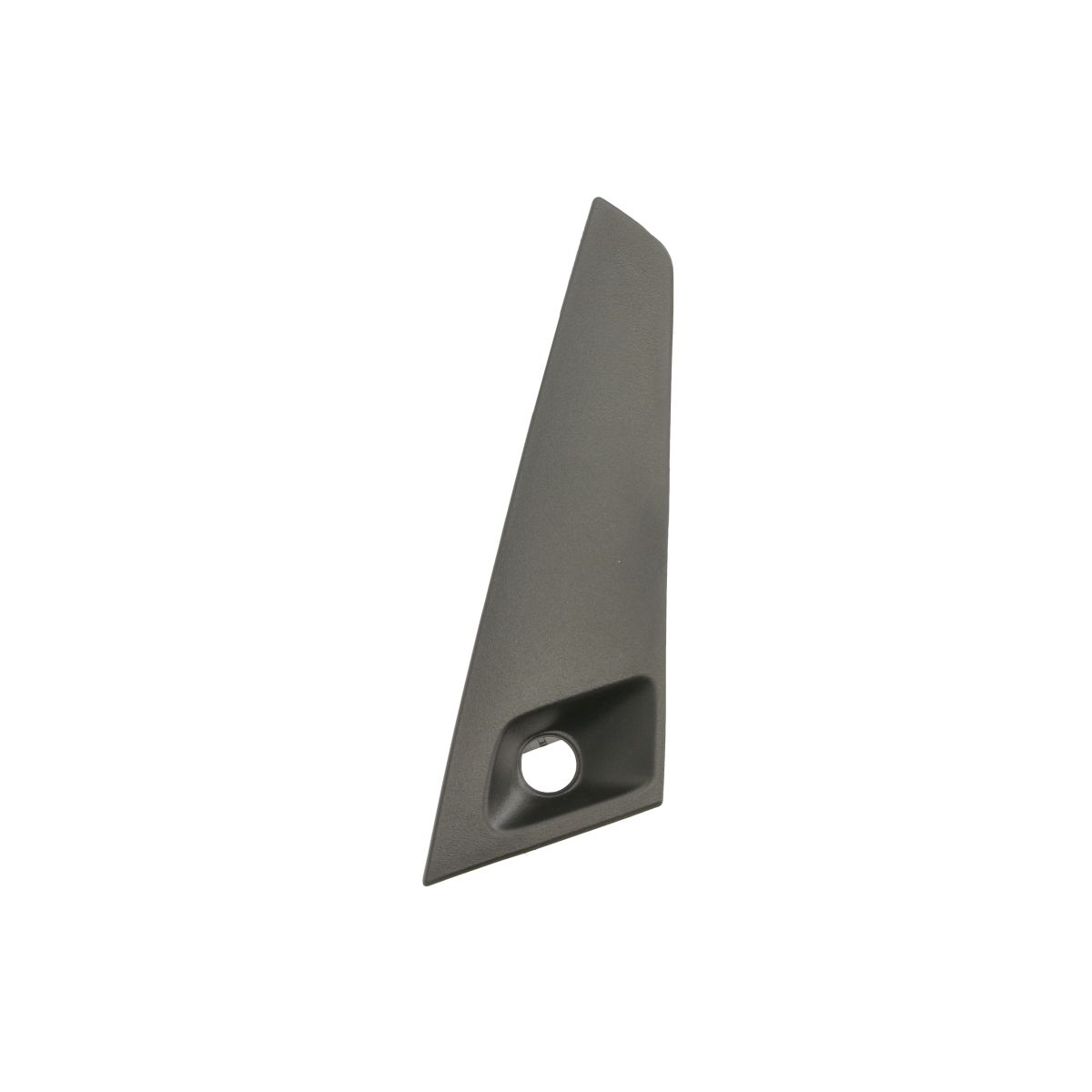 Blic Sierlijst/Beschermstrip, Bumper 6502-07-8173928P