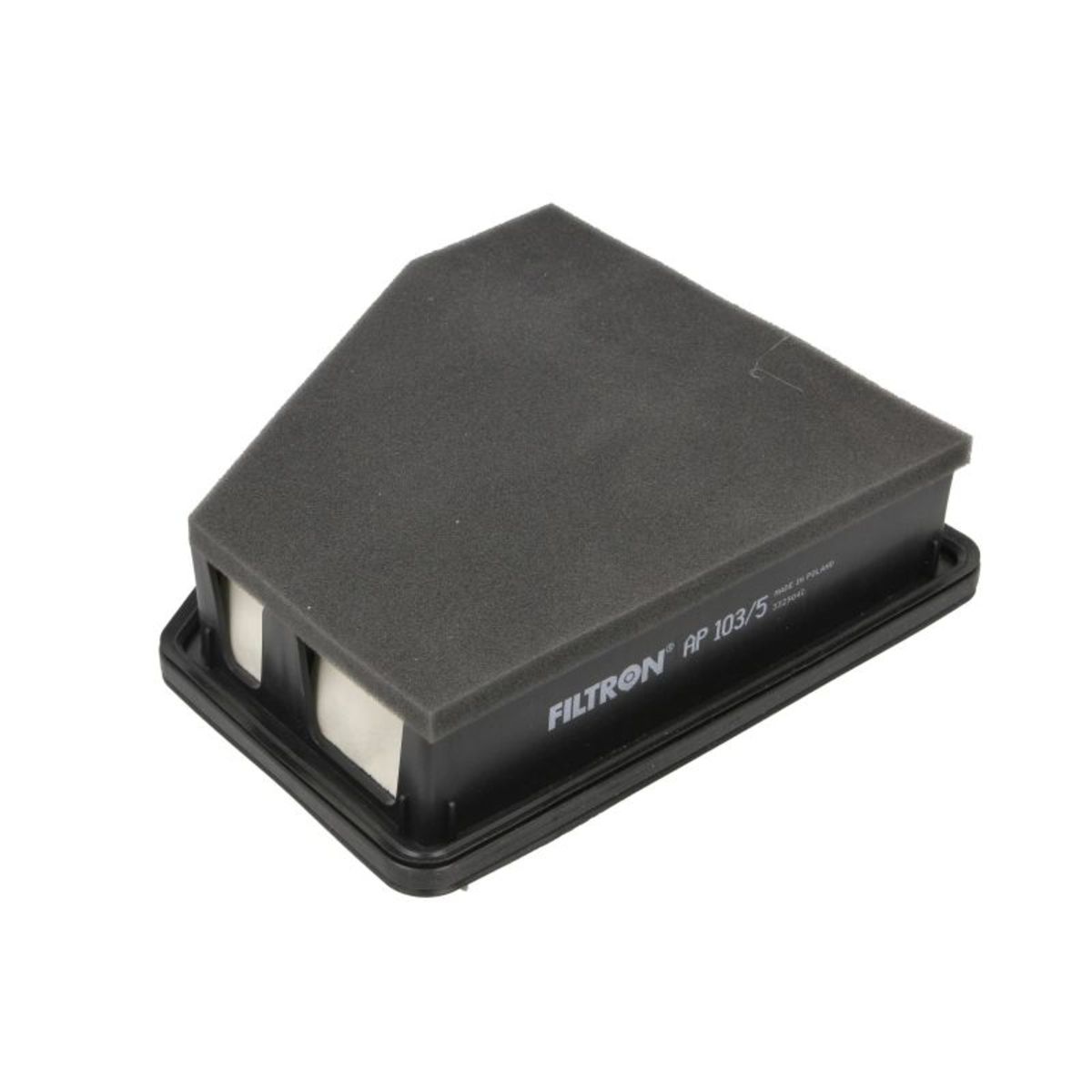 Filtron Filtro Aria Ap 103/5