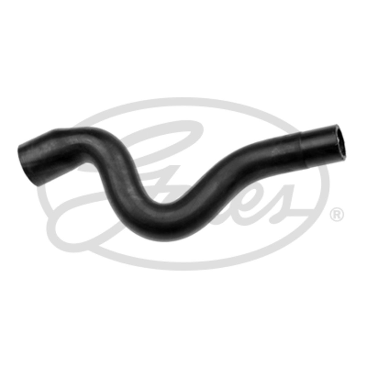 Image of Radiatorslang