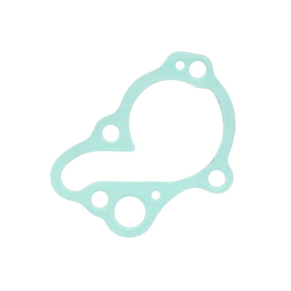 Guarnizione della pompa dell'acqua ATHENA S410210024025