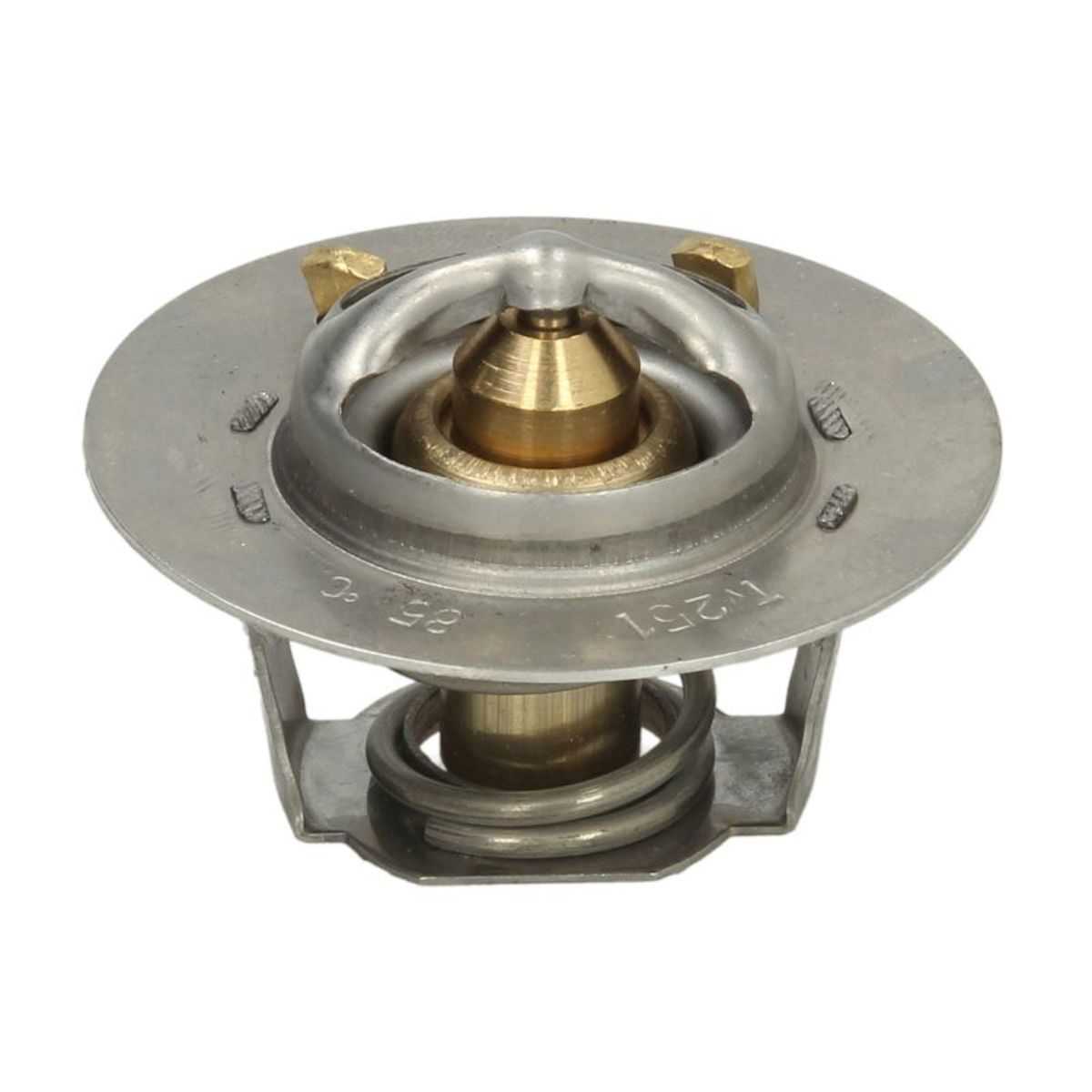 Thermostat d'eau THERMOTEC D2IS001TT