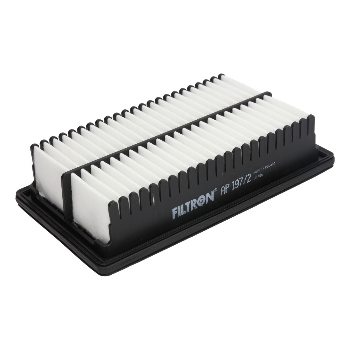 Filtro aria FILTRON AP 197/2