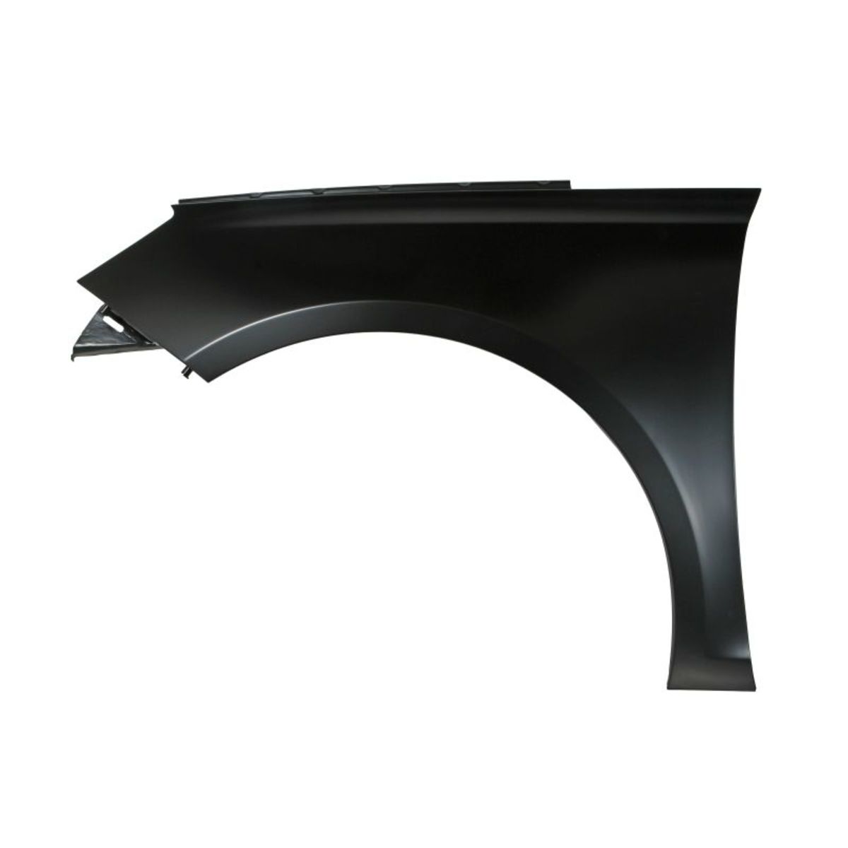 Blic Kotflügel 6504-04-5519313P, Links