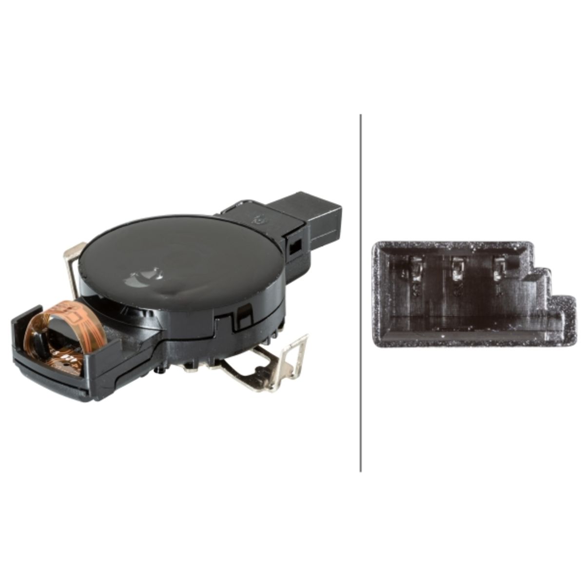Image of Regensensor