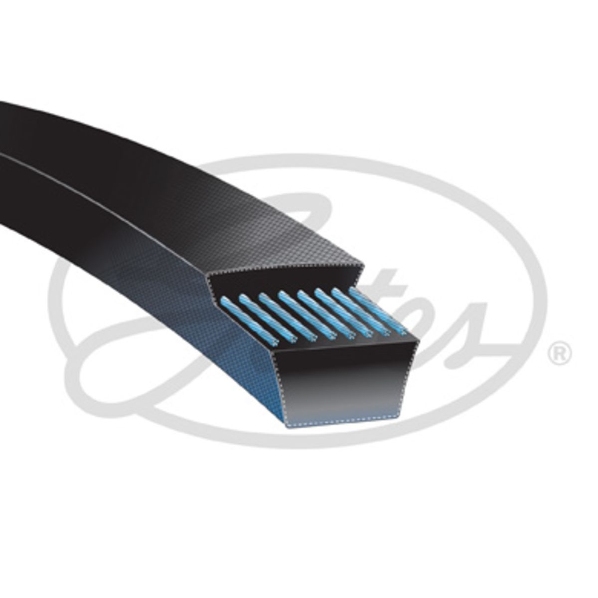 Image of V-riem  GAT