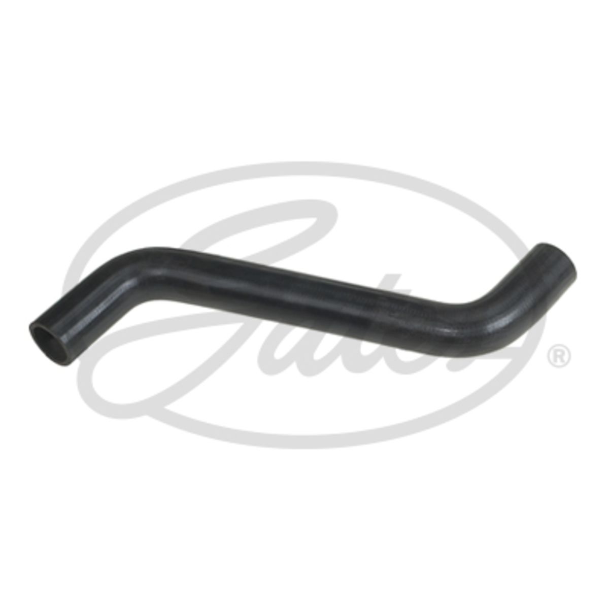 Image of Radiatorslang