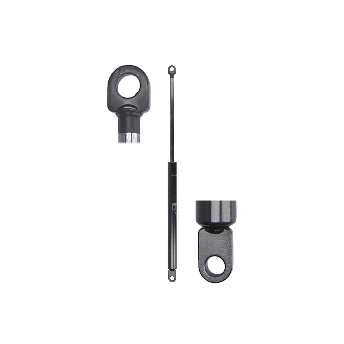 Gasfeder, Koffer-/Laderaum STABILUS STA615722