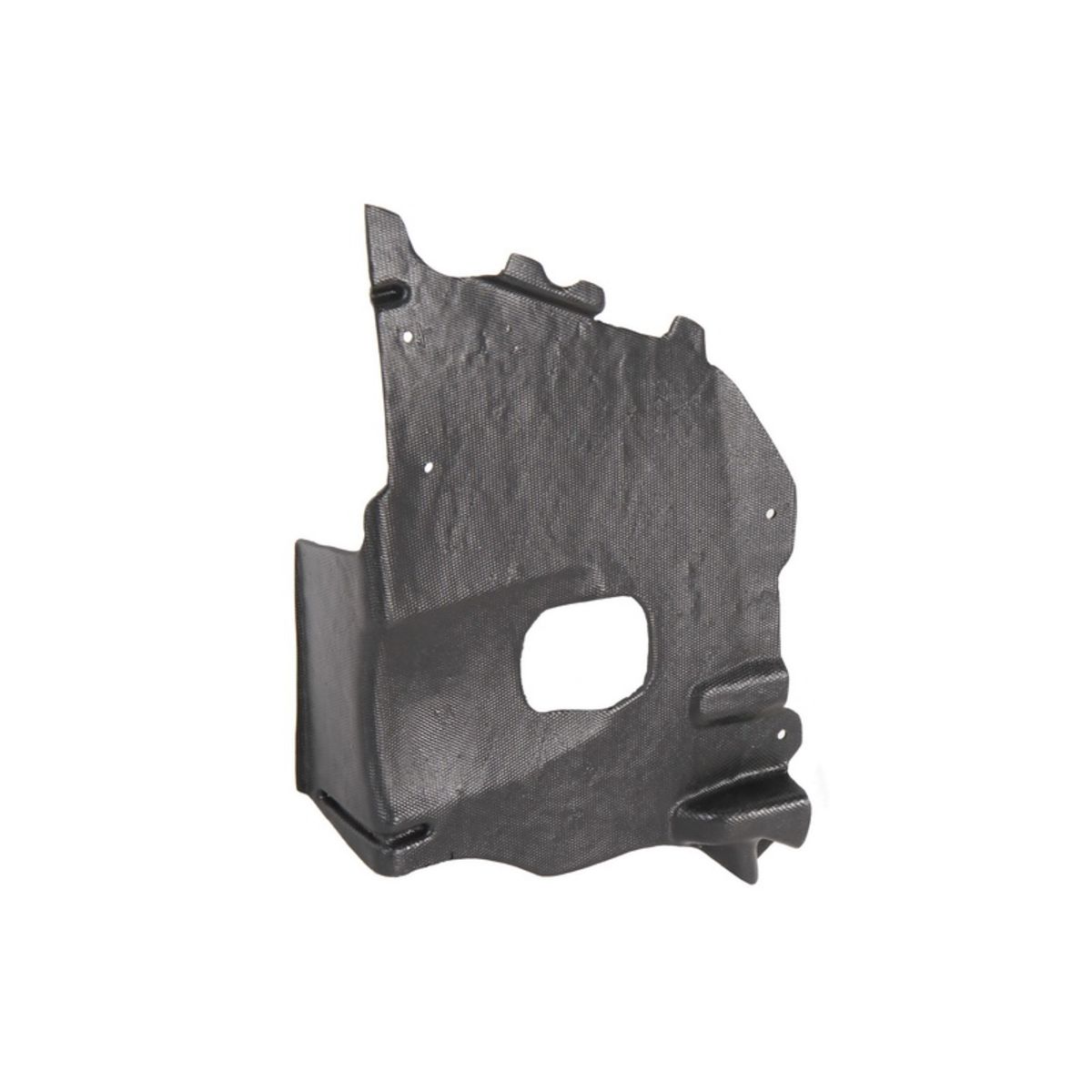 Blic Afdekking motor  6601-02-0550873P links