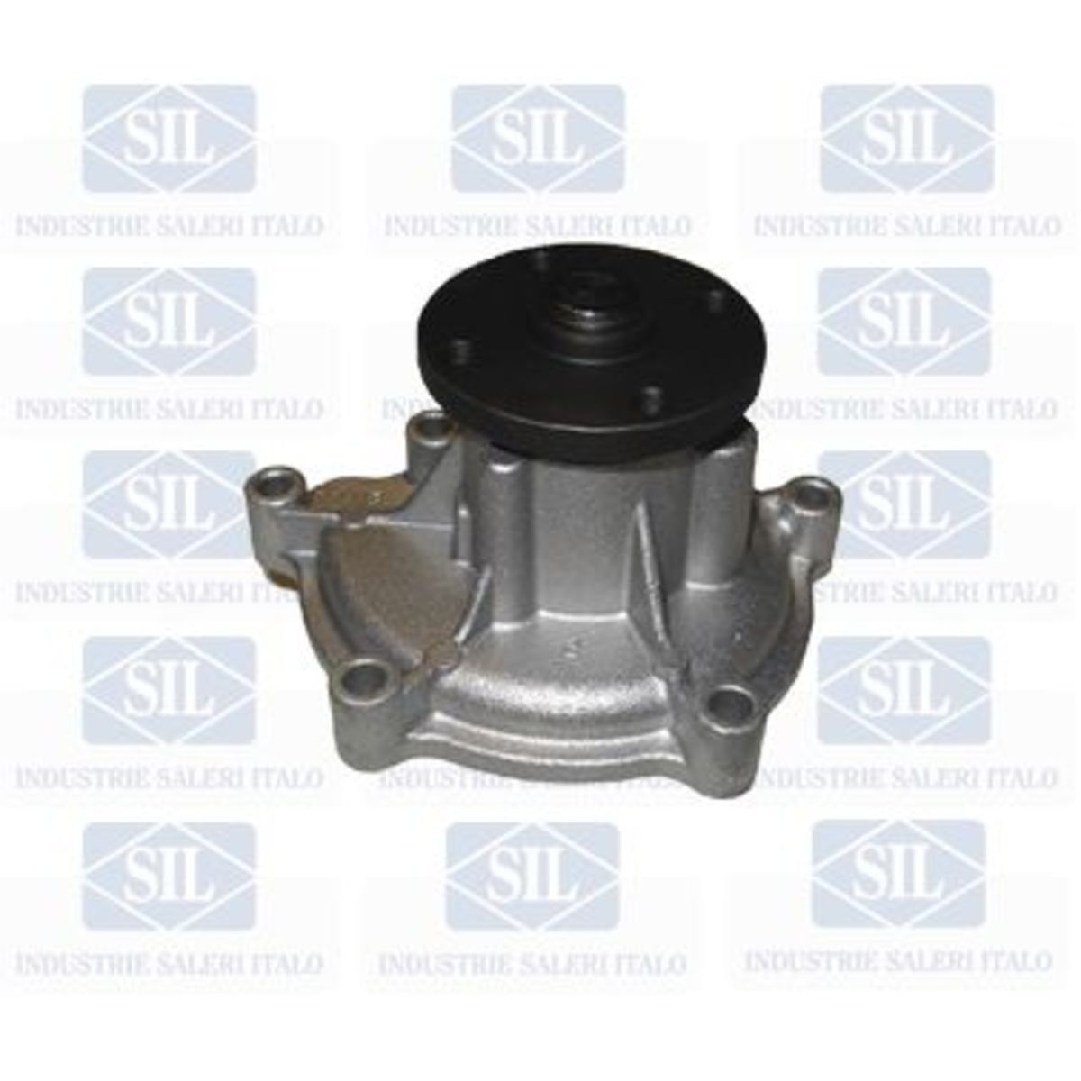 Saleri SIL PA1600 Pompa acqua - Immagine 5