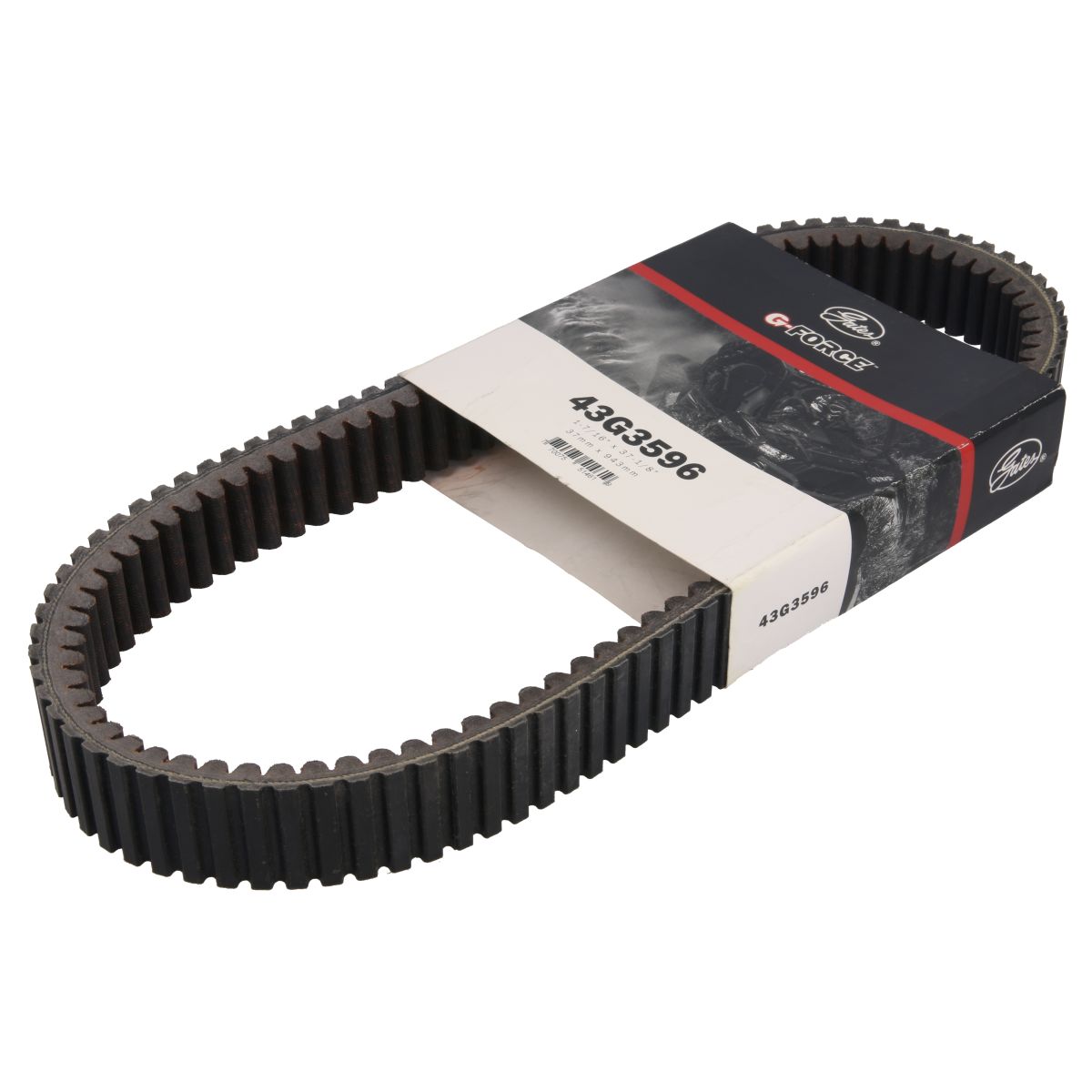 Cinghia di trasmissione GATES GAT43G3596