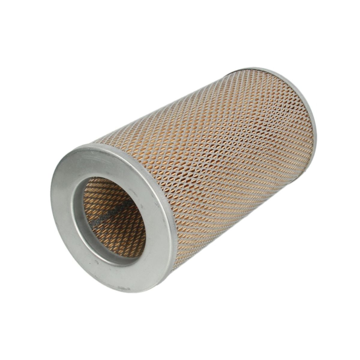 Filtron Filtro Aria Am441/1