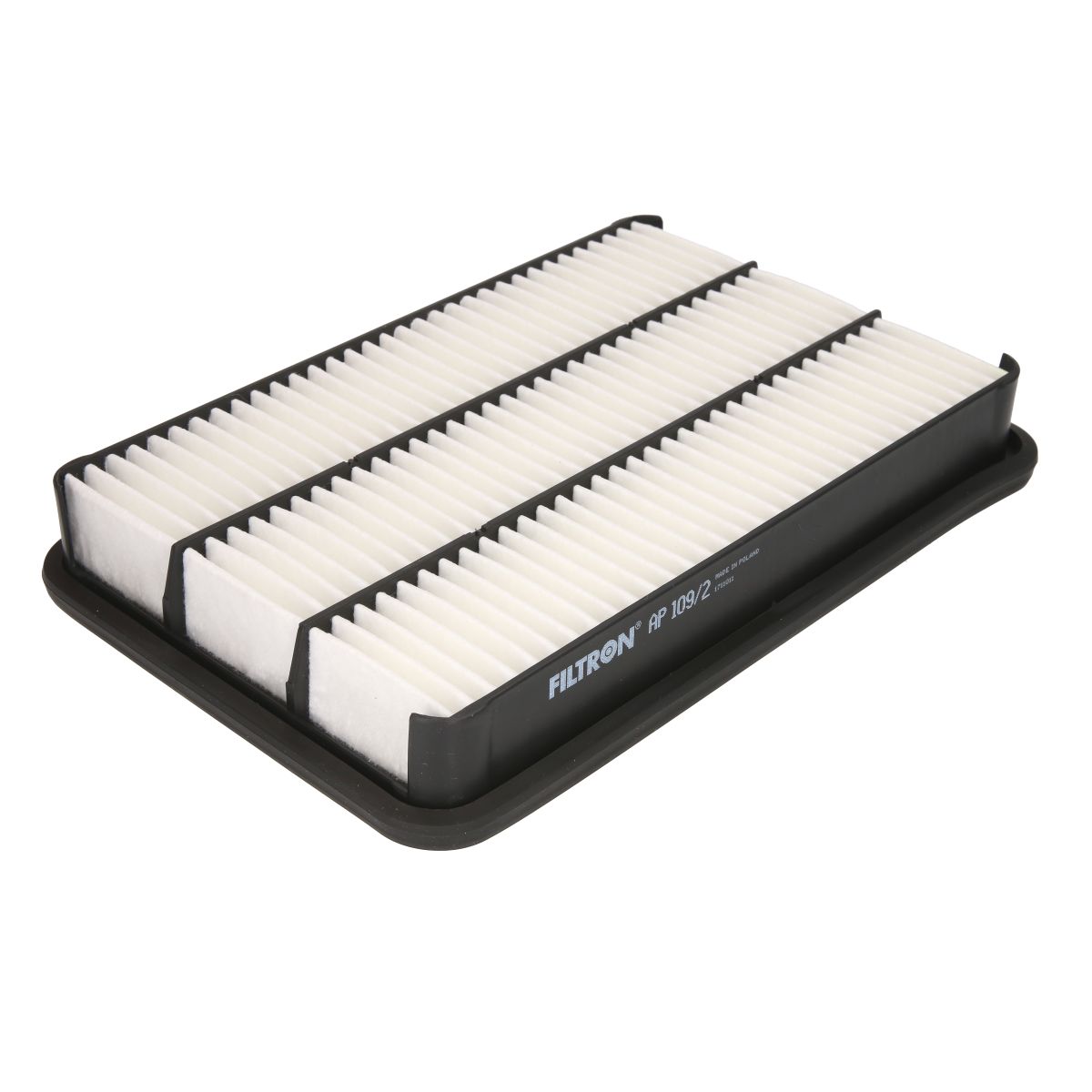 Filtron Filtro Aria Ap109/2