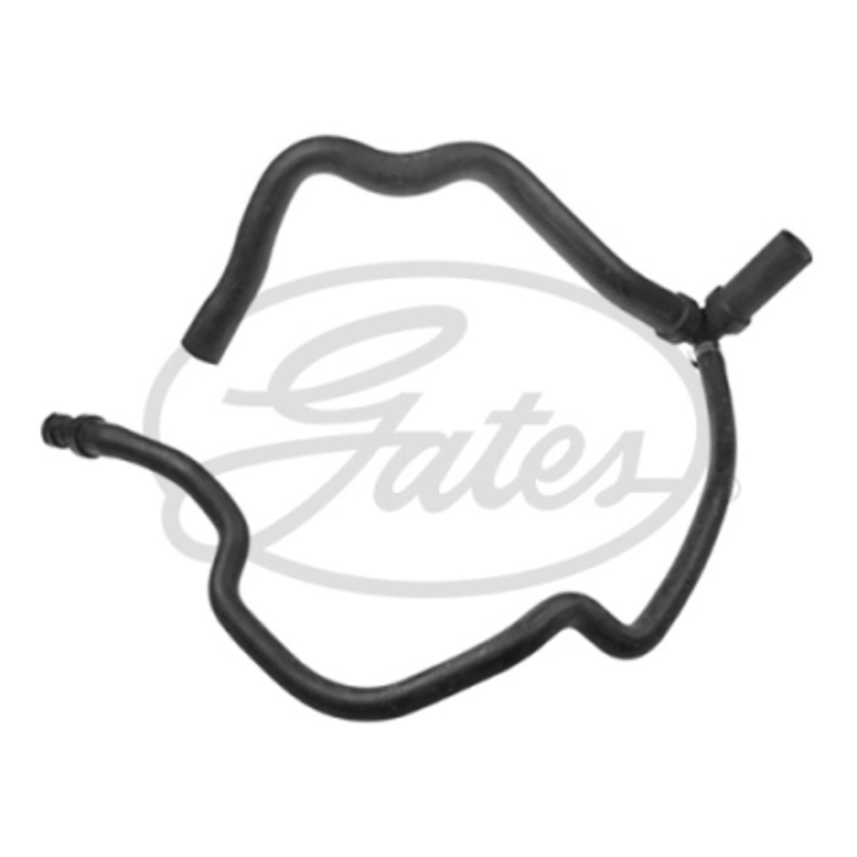 Image of Radiateurslang
