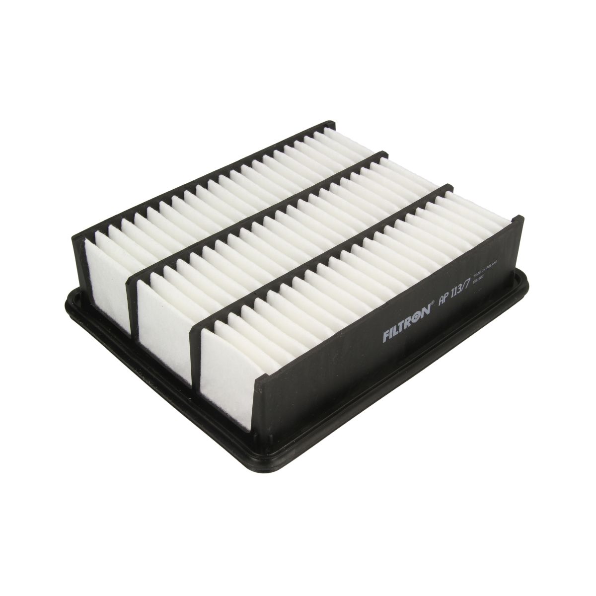 Filtron Filtro Aria Ap113/7