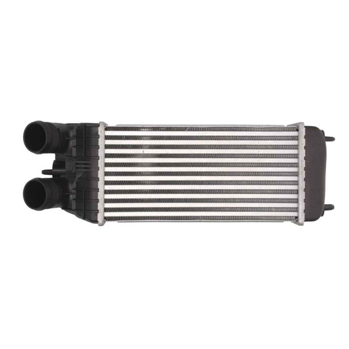 Thermotec Ladeluftkühler Dap003tt