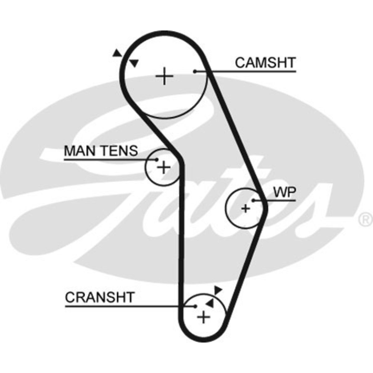 Image of Distributieriem  GAT