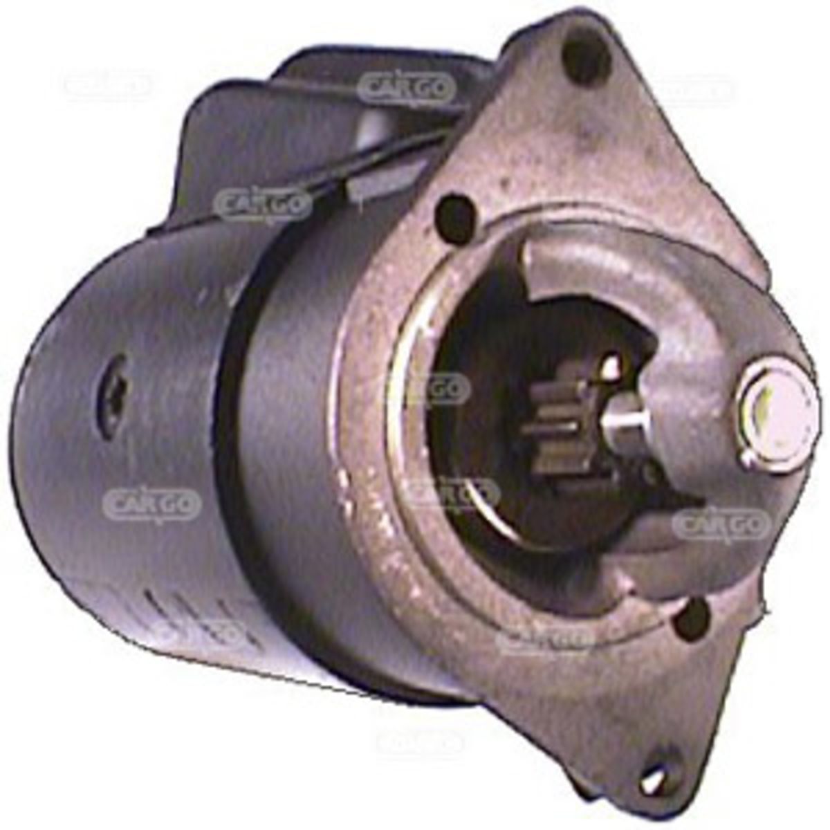 Image of Starter
