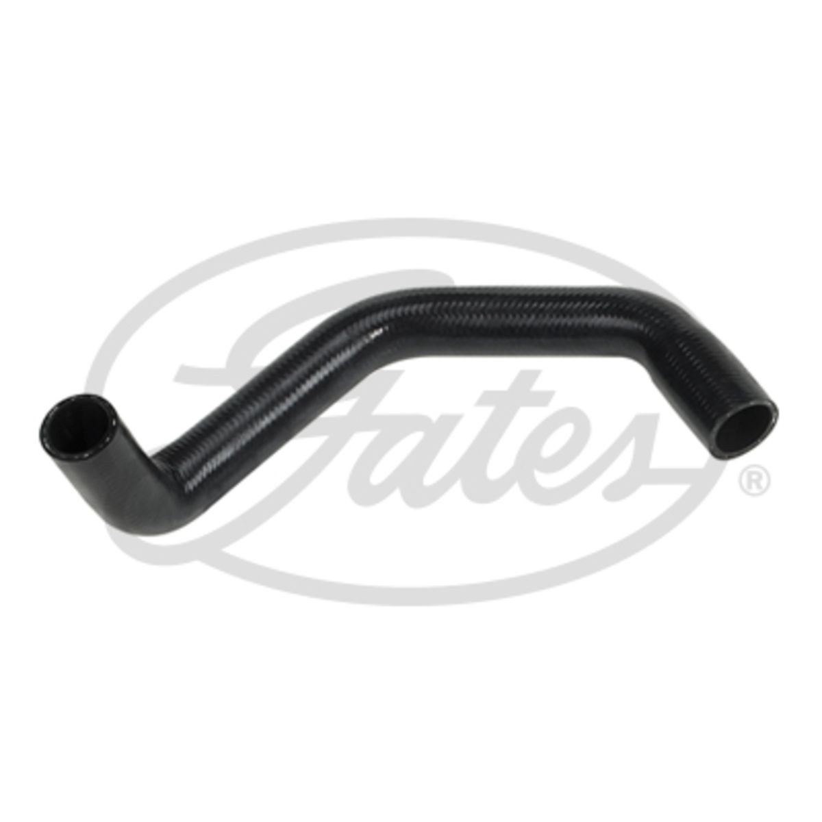 Image of Radiatorslang
