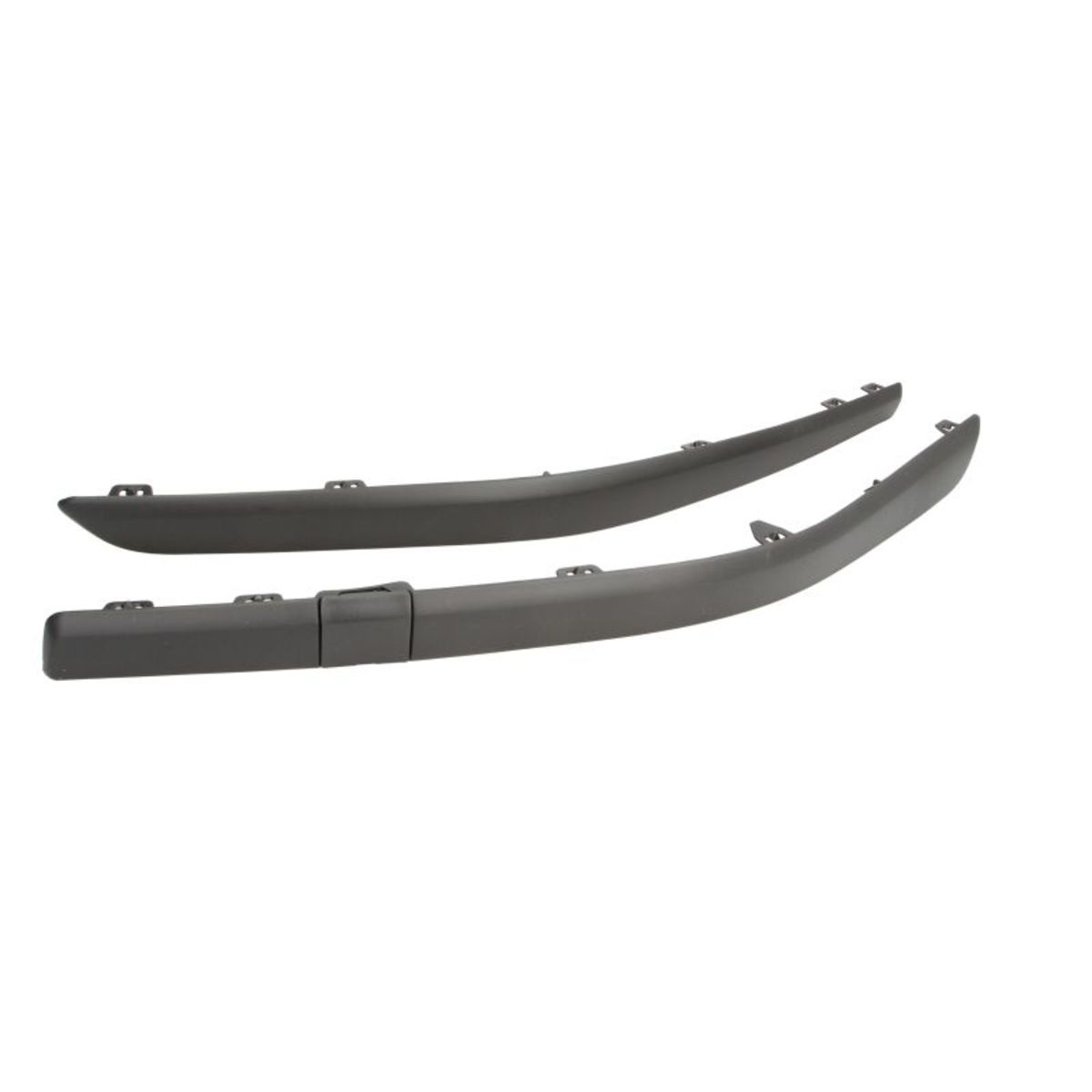 Sierlijst/beschermstrip, bumper BLIC 6502-07-6055920Q