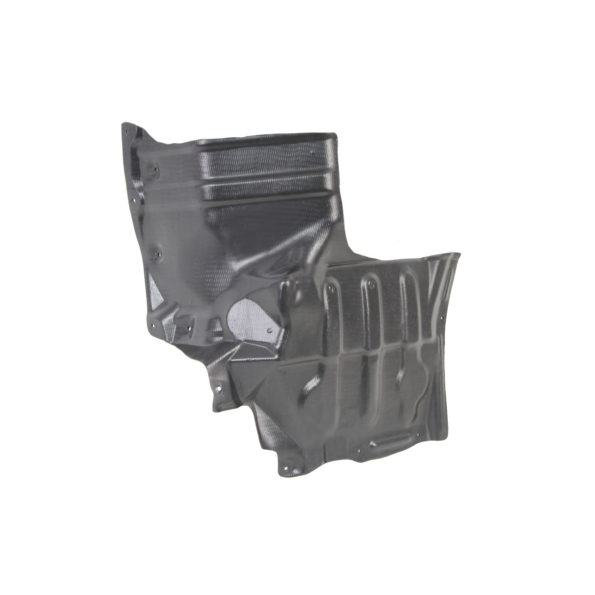 Blic Afdekking motor  6601-02-8179871P links