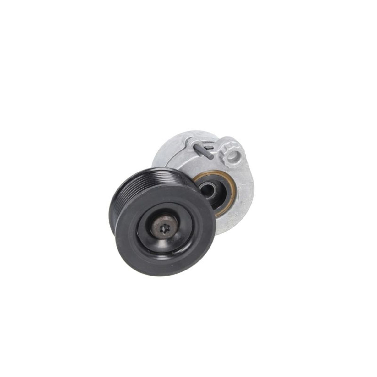 Image of Riemspanner, Poly V-riem