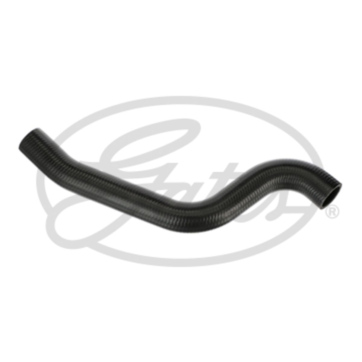 Image of Radiatorslang