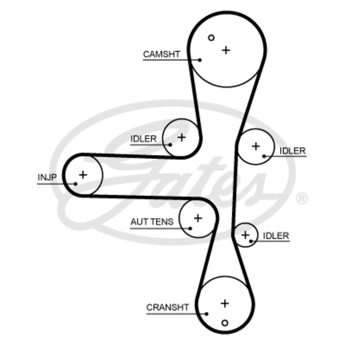 Image of Distributieriem  GAT