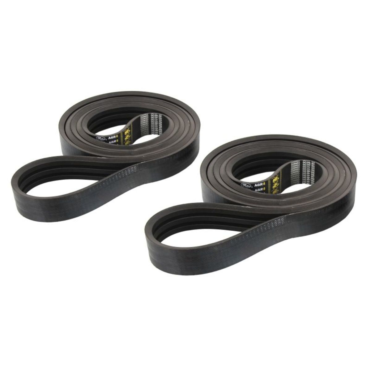 Image of V-snaar  -GAT