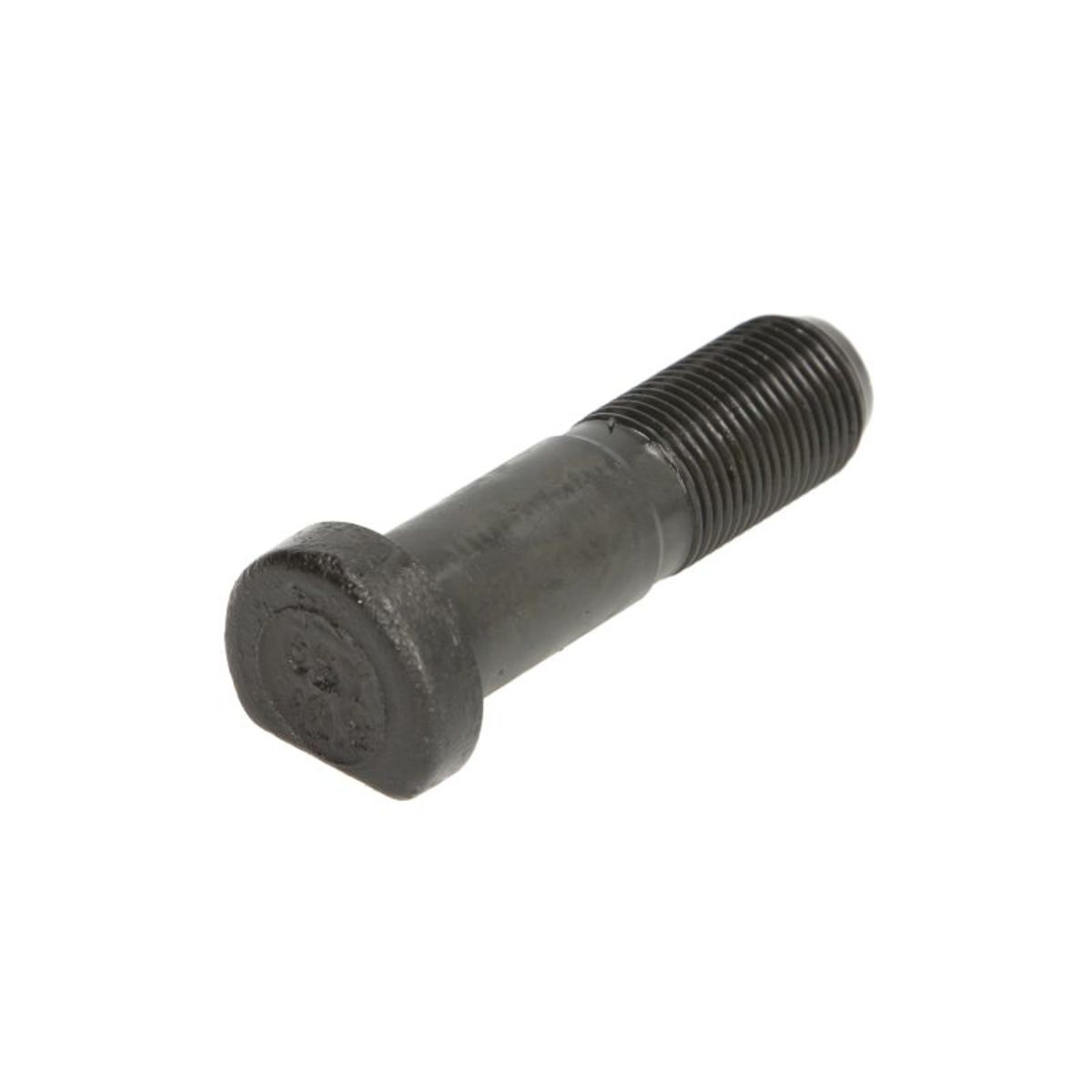 Image of Wielbout  40303