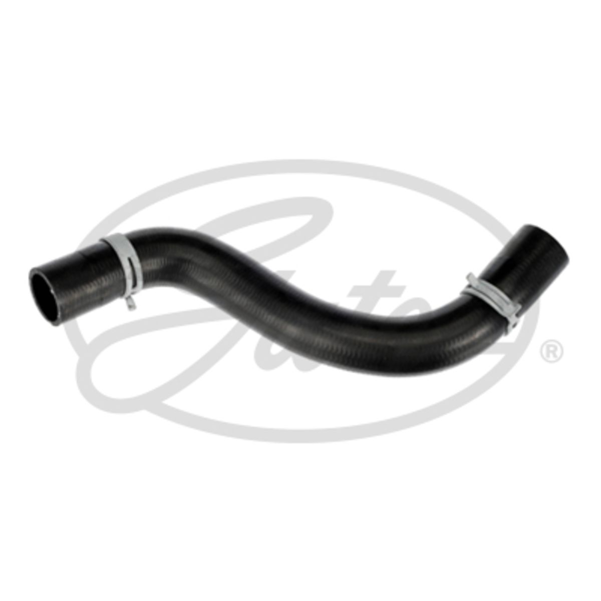 Image of Radiatorslang