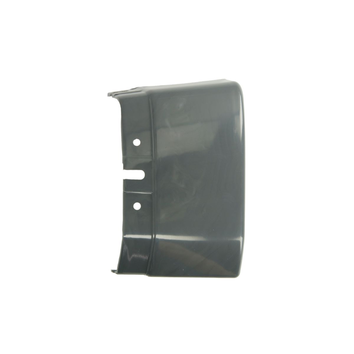 Moldura Protectora/decorativa, parachoques PACOL DAF-FB-016R