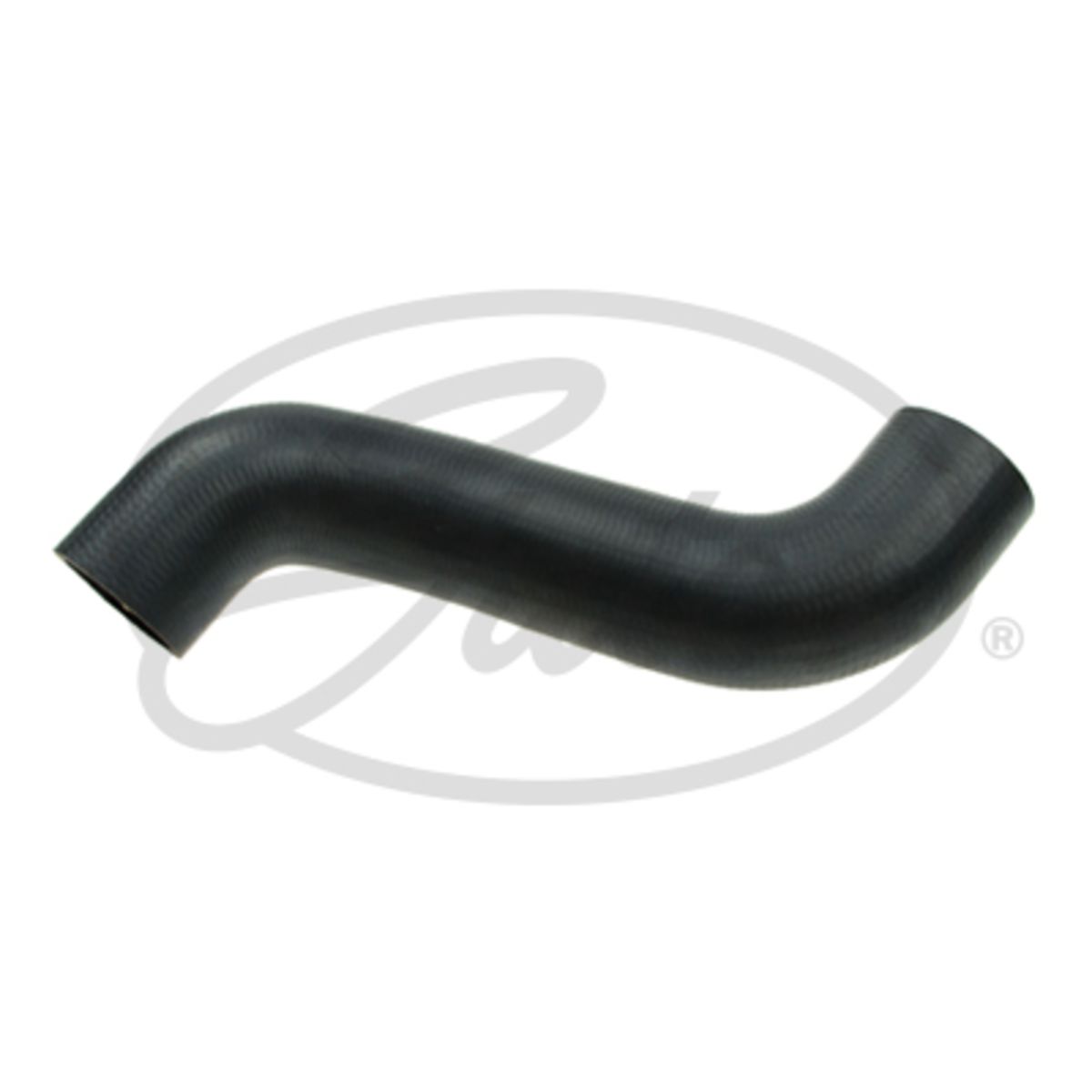 Image of Radiatorslang