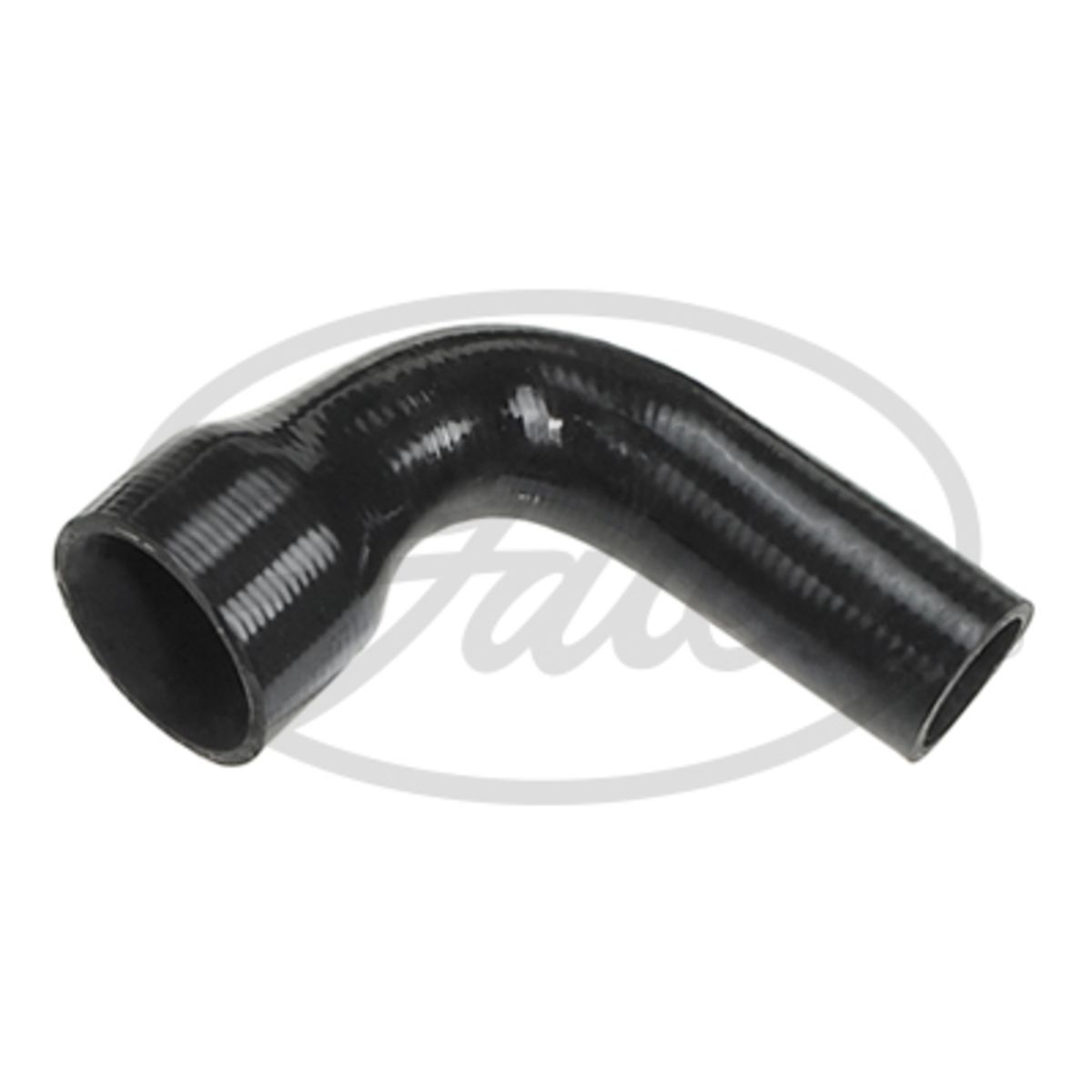 Image of Radiatorslang