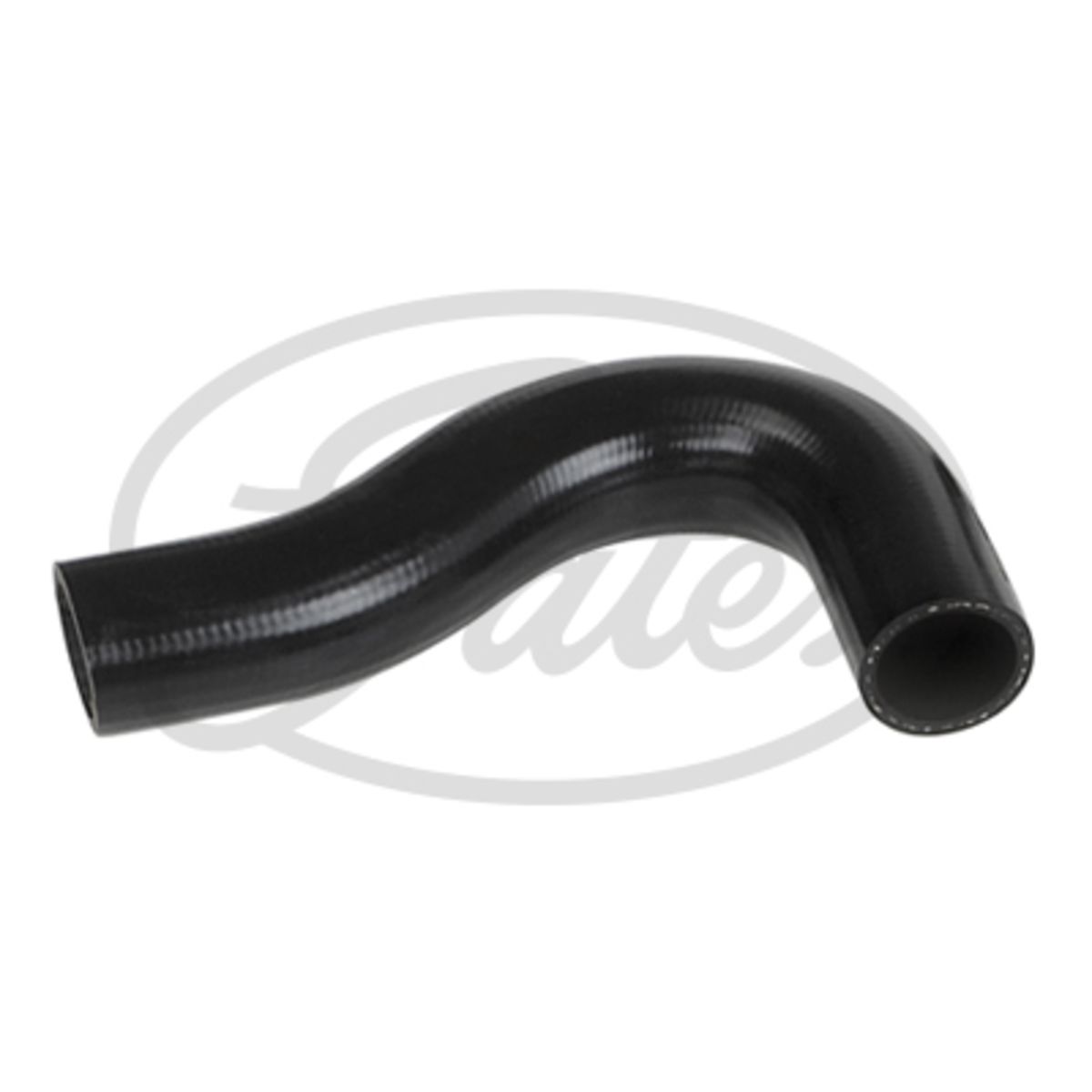 Image of Radiatorslang
