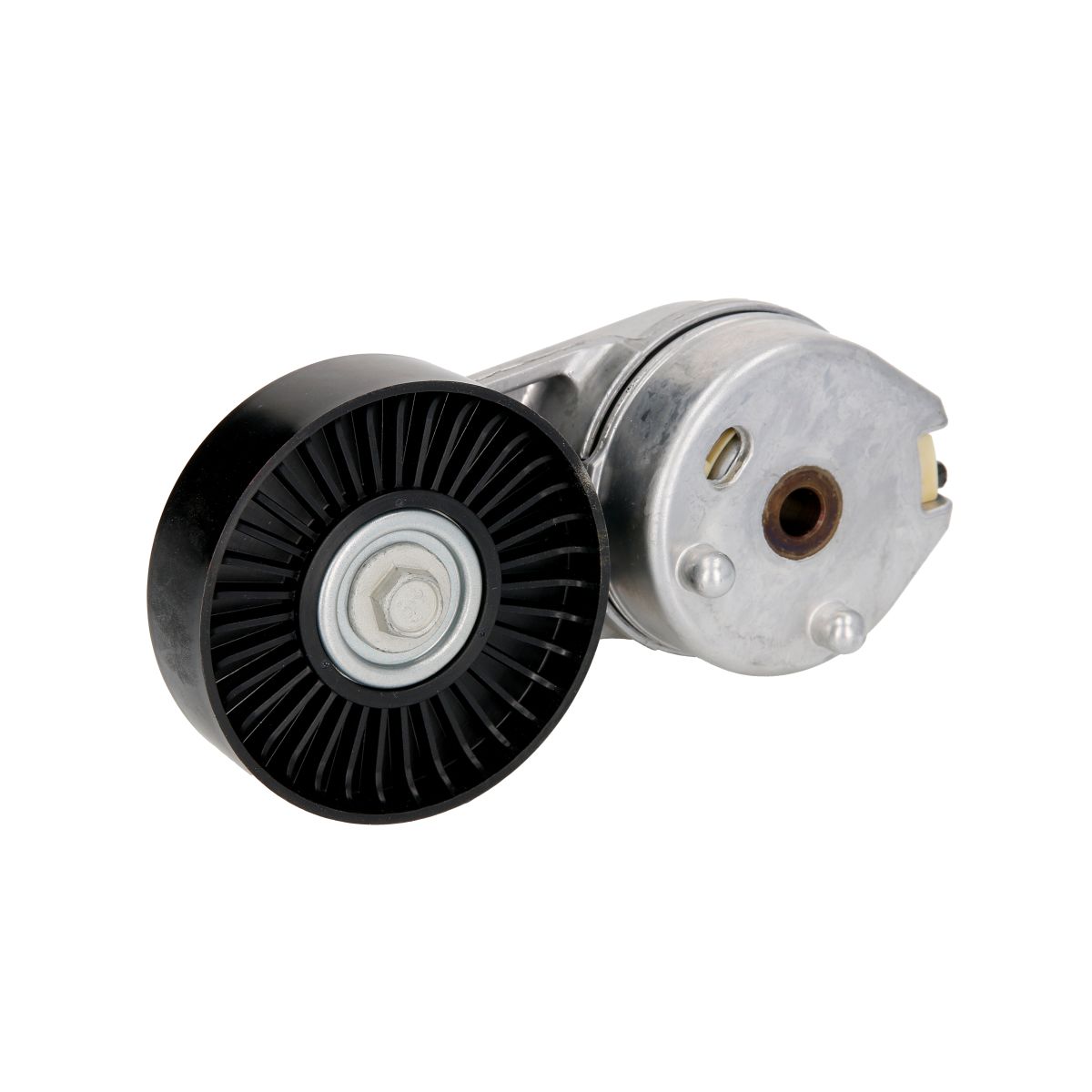 Image of Spanpoelie, V-riem