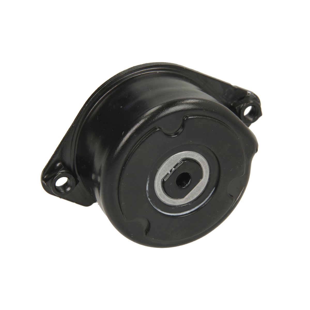 Tendicinghia, cinghia a V INA 534 0171 10