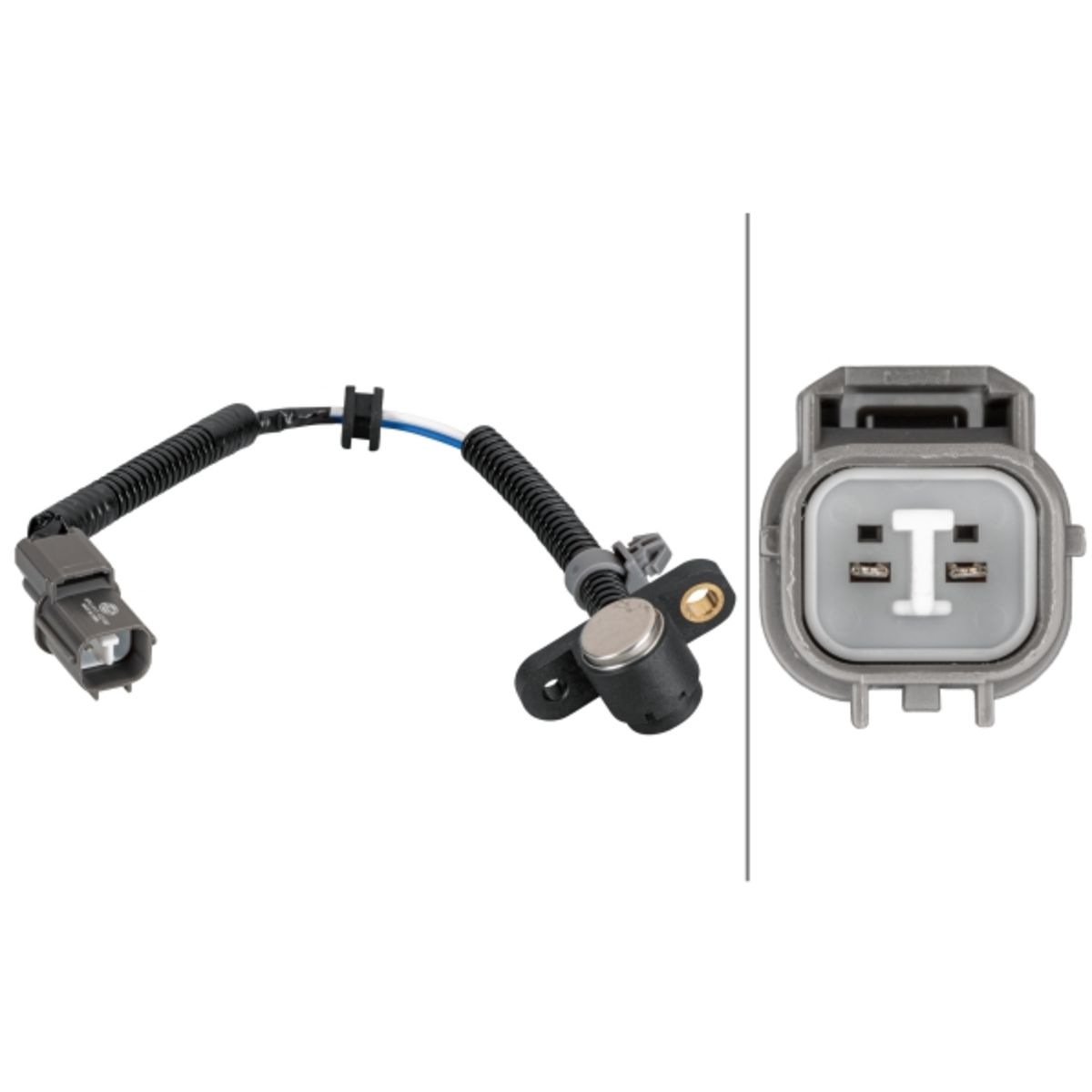 Image of Krukassensor