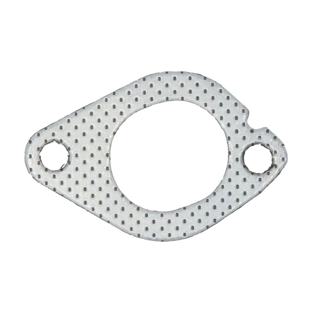 Reinz Pakking, inlaatspruitstuk  71-82643-00