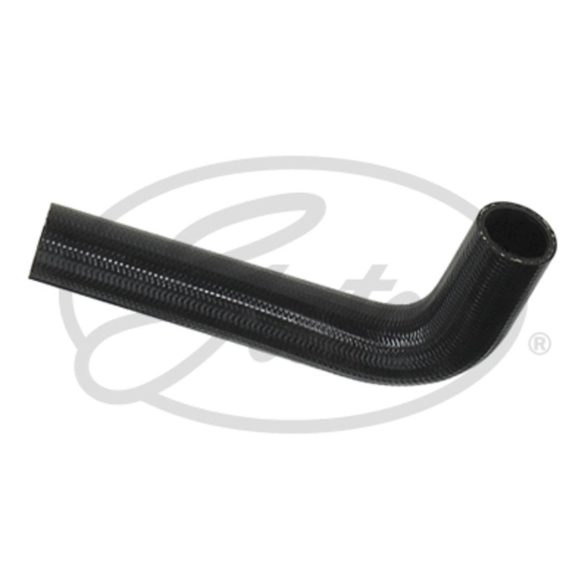 Image of Radiatorslang